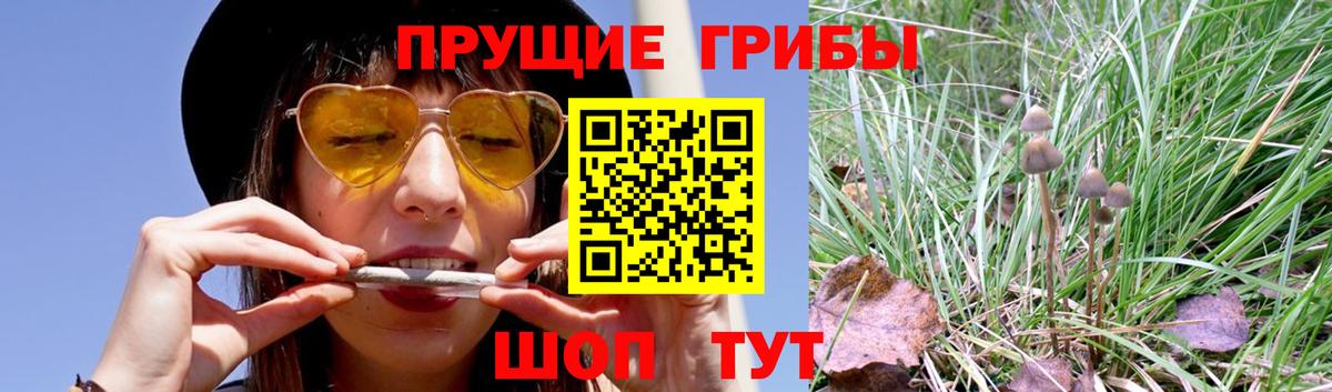 Грозный  Псилоцибиновые грибы ЛСД  Вход с VPN 