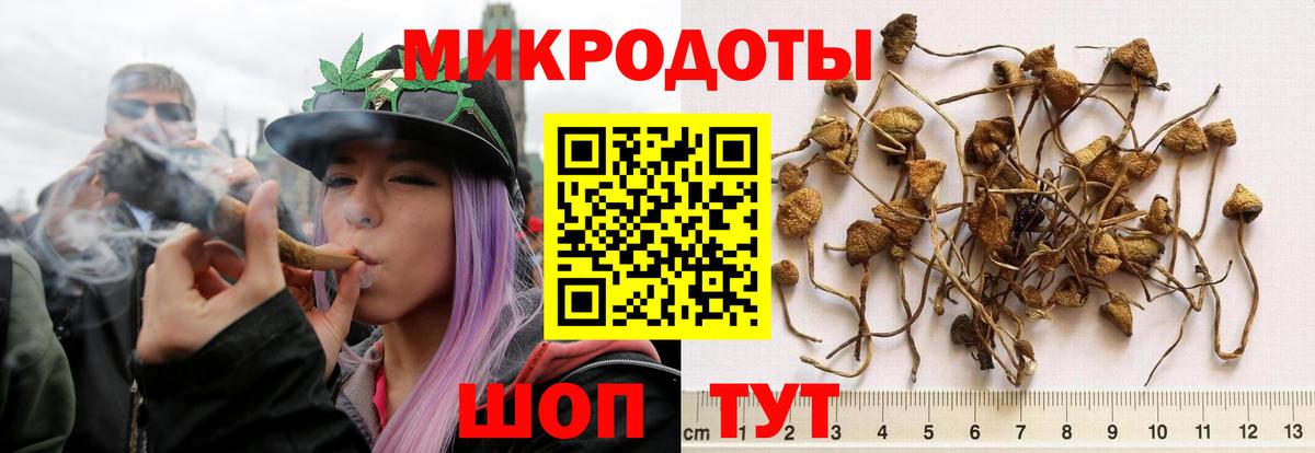 Галлюциногенные грибы прущие грибы Грозный